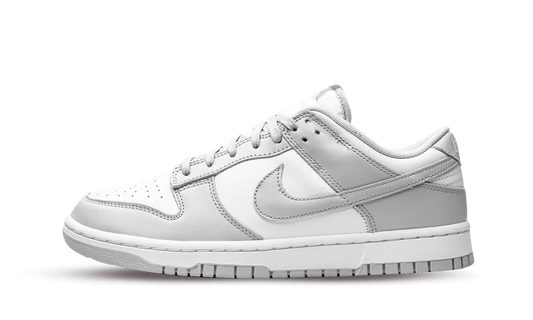 Nike Dunk Low Grey Fog Side Shoe